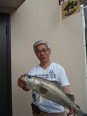 魚類剝製工房│東海釣魚堂